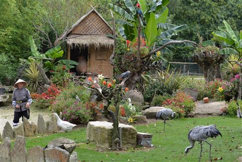Tropical Parc - Spectacles d'oiseaux 