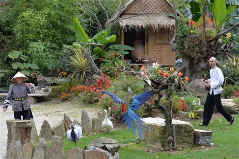 oiseaux en spectacles 