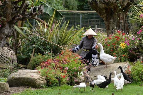 Les spectacles de tropical parc 