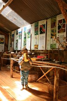 maison musicale - parc animalier 56