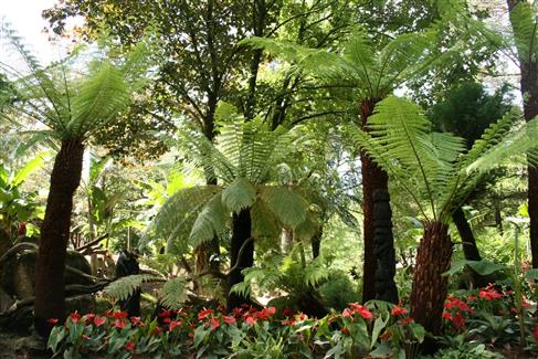 Jardins Tropical Parc 