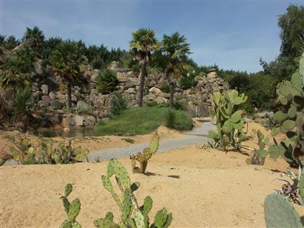 Jardin mexicain cactus 