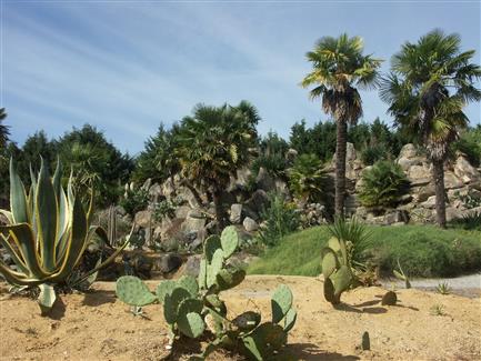 Jardin mexicain cactus Morbihan