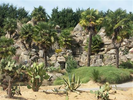 Jardin mexicain cactus Bretagne 