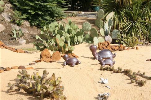 Jardin mexicain jardin bretagne morbihan