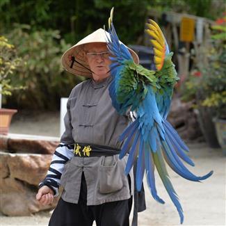 spectacle avec perroquet 