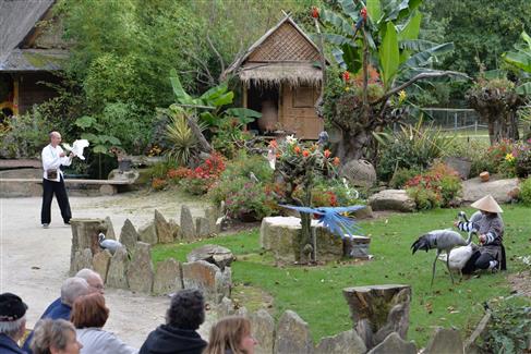 jardins bretagne - spectacles oiseaux 