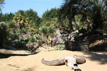 Jardin Mexicain - parc Bretagne 56