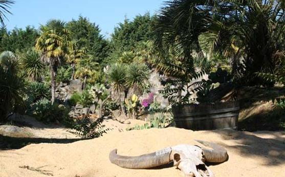 Jardin Mexicain - parc Bretagne 56