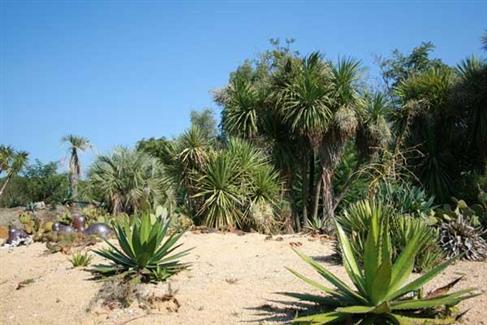 Jardin Mexicain -  parc animalier Bretagne