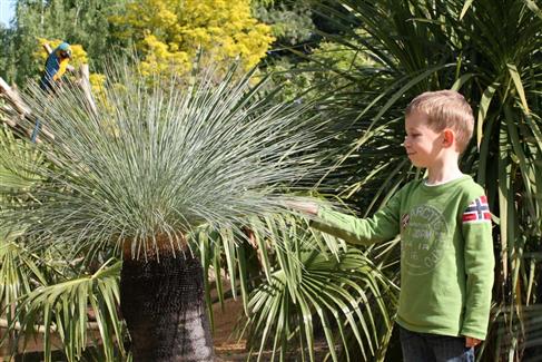 Jardin Mexicain - jardin botanique 56