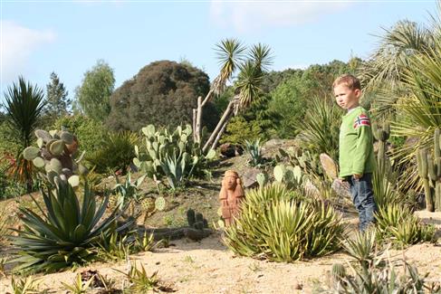 Jardin Mexicain - jardin botanique bretagne 