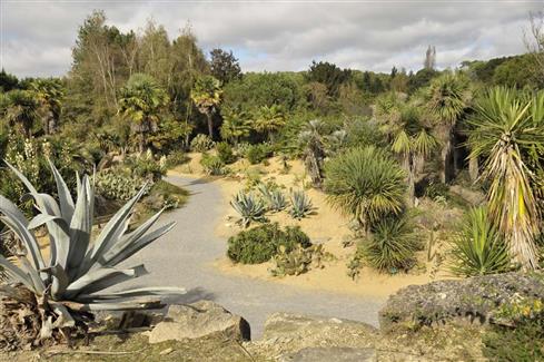 Jardin Mexicain - jardin botanique morbihan 