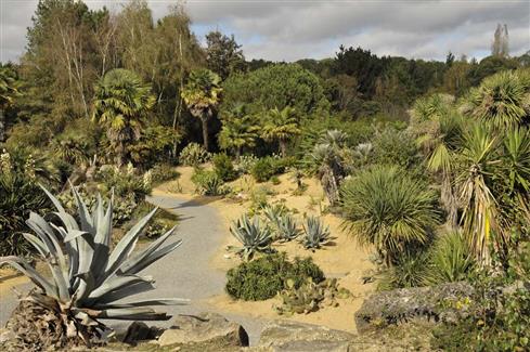 Jardin Mexicain - zoo parc 