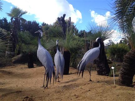 parc animalier - jardin morbihan