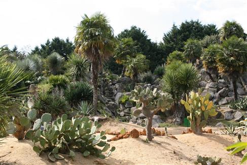 jardin cactus Morbihan 56