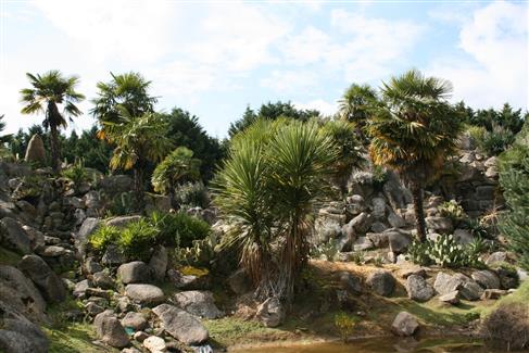 cactus mexique - morbihan 56
