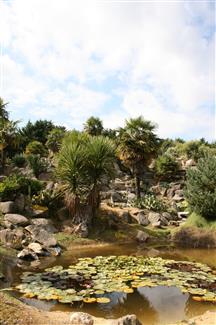 Jardin Mexicain 56