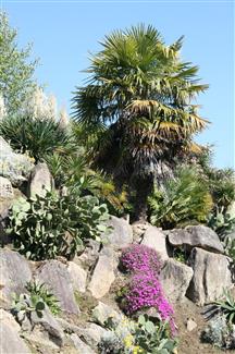 parc zoo morbihan -Jardin Mexicain 