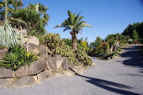 Zoo bretagne - Jardin Mexicain 