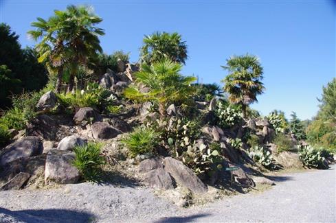 Bretagne - Jardin Mexicain 