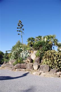 56 - Jardin Mexicain 