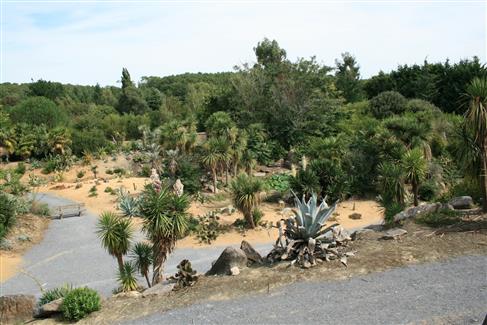 Morbihan - Jardin Mexicain 