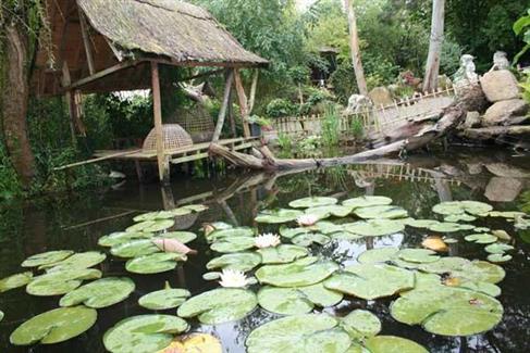 Bretagne - Jardin Thai 56