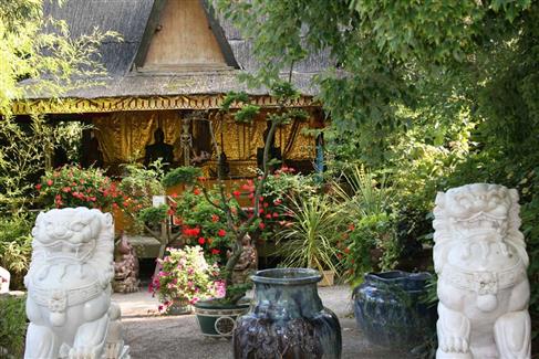 plantes 56