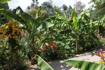 Jardin d'Afrique - Tropical Parc, parc animalier morbihan 