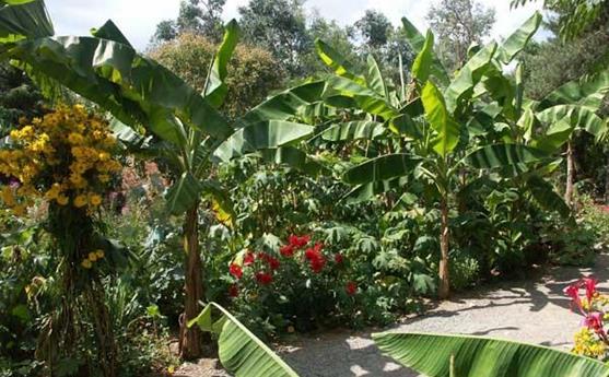 Jardin d'Afrique - Tropical Parc, parc animalier morbihan 