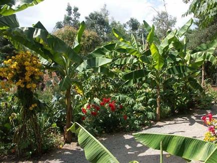 Jardin d'Afrique - Tropical Parc, parc animalier morbihan 