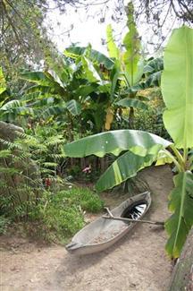 Jardin d'Afrique Tropical Parc, parc animalier Bretagne