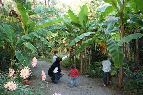 Tropical Parc, parc animalier morbihan - Jardin d'Afrique 