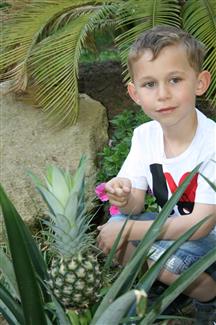 Jardin d'Afrique 