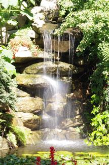 parc 56 - jardins 