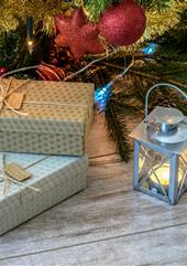 Chèques cadeaux - Tropical Parc