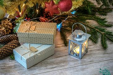 Chèques cadeaux - Tropical Parc