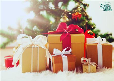 Chèques cadeaux - Parc animalier Bretagne