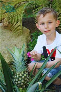 Tropical Parc école