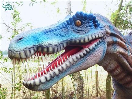 Jurassic Parc Morbihan