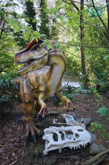 Dino et fouille paléontologique tropical parc