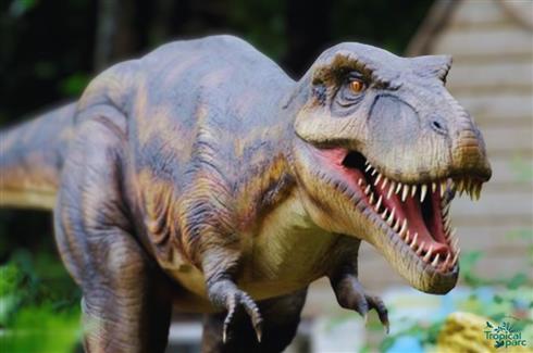 Tyrannosaurus-rex Dinosaure Parc attraction floral animalier
