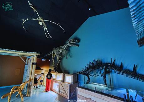 parc squelette grandeur nature dinosaure