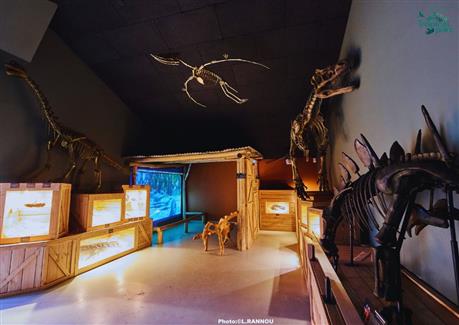 squelette dinosaures géants bretagne