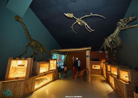 salle paléontologie squelette dinosaure jeux