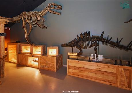 squelette géant de dinosaures