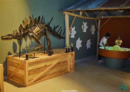 squelette de dinosaures et salle jeux paléontologie