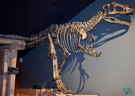 squelette dinosaure nature attraction bretagne