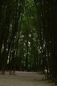Tropical Parc dans le Morbihan